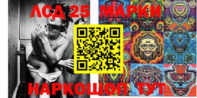 гидропоника Брянск