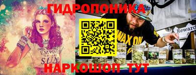 гидра Боровичи