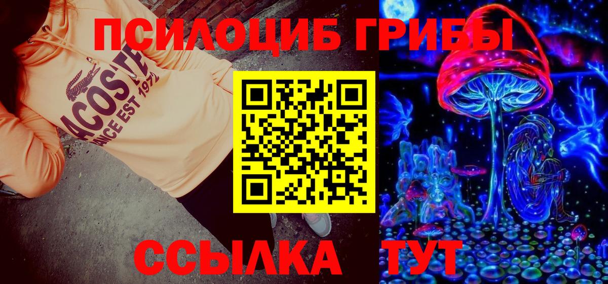 наркошоп  Вход с VPN  Астрахань  Псилоцибиновые грибы MAGIC MUSHROOMS 