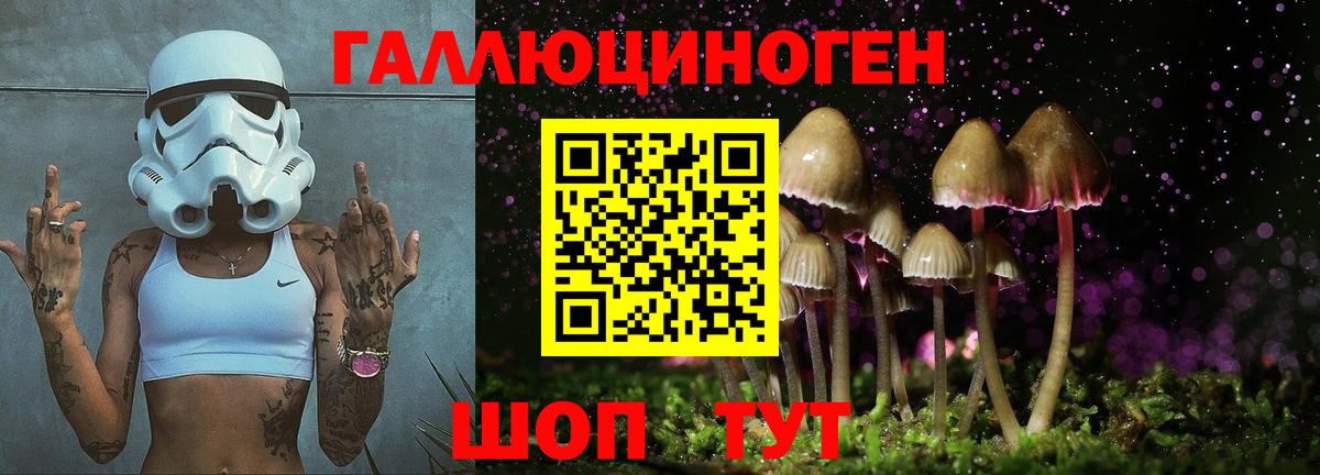 Псилоцибиновые грибы прущие грибы Астрахань